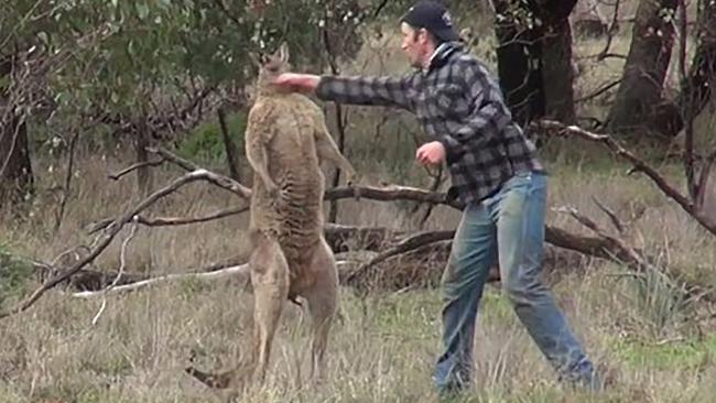 Still image taken from a YouTube clip showing Greig Tonkins punching a kangaroo in the face. Picture: Greg Bloom/ViralhogSource:Supplied