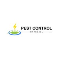 Pest Control Brassall.jpg