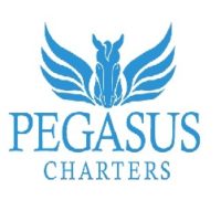 catamaran-hire-sydney-pegasus-charters.jpg