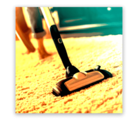 Professional-Carpet-Cleaning-Dover-Gardens.png