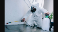 End Of Lease Pest Control Melbourne