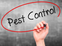 Pest Control Services.jpg