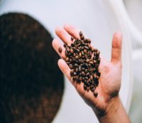Single Origin Coffee Beans.jpg