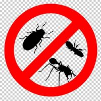 imgbin-cockroach-pest-control-bed-bug-termite-cockroach-svjXtsPnBYNU3bXB0MXSetXHp.jpg