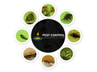 Pest-Control-Quakers-Hill.png