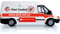 pest control services.jpg