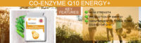 Co-Enzyme Q10 (CoQ10) 300mg 60 Vegetarian Capsules.jpg