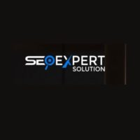 seo-expert-solution-logo.jpg